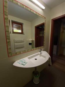 耶莱尼亚古拉Pokoje do wynajęcia的浴室设有白色水槽和镜子