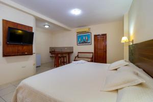 阿约拉港拉古纳别墅酒店酒店的卧室配有一张床,墙上配有电视。