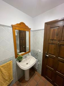 昆卡Apartamentos Hoz del Huécar的一间带水槽和镜子的浴室