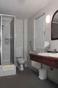 巴特萨罗皮斯库夫Haus Waldfrieden的浴室配有卫生间、盥洗盆和淋浴。