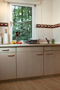 巴特萨罗皮斯库夫Haus Waldfrieden的厨房设有水槽和窗户。