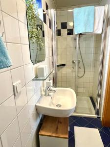 伊尔米茨Privatzimmer Haider的一间带水槽和淋浴的浴室