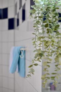 伊尔米茨Privatzimmer Haider的浴室提供盆栽和毛巾