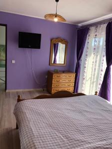 克利默内什蒂Casa Sofia的一间卧室设有紫色的墙壁、一张床和一台电视机。