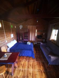 戈亚斯州上帕莱索Chalé Astral的一间卧室配有一张床、一张沙发和一张桌子