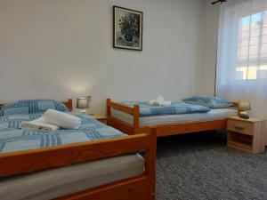 代尔尼采Apartman Tinče的一间卧室设有两张床和窗户。