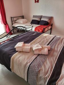 La petite ferlicaine的一间卧室配有两张床,上面有粉红色的毛巾