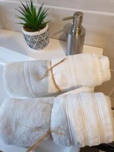 La petite ferlicaine的浴室水槽上的一双白色毛巾
