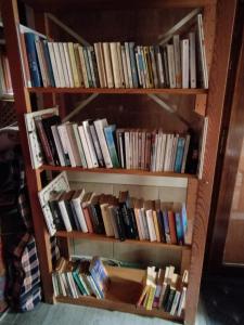 LohrLe havre de grès的书架上堆满了书