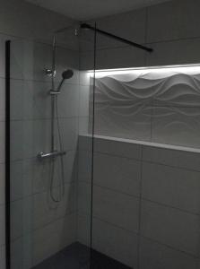 阿斯托加INSULA PLAzA MAYOR HOME的浴室里设有玻璃门淋浴