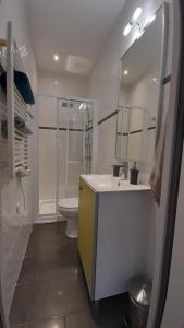 图卢兹米迪运河酒店的一间带水槽、卫生间和镜子的浴室