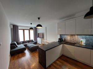 威利兹卡Apartament Reformacka的厨房以及带沙发的起居室。