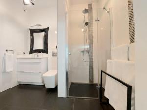 威利兹卡Apartament Reformacka的带淋浴、卫生间和盥洗盆的浴室