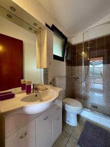 欧苏西奥加佐拉住宿加早餐旅馆的一间带水槽、卫生间和淋浴的浴室