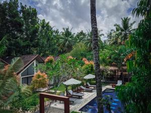 龙目岛库塔RaCottage Mandalika的一个带游泳池、椅子和棕榈树的度假村