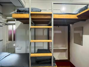 迈索尔Rahee Bi Roambay - Backpacker Hostel的客房设有两张双层床和一张床。