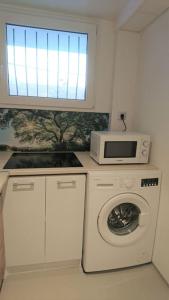 尚帕尼奥勒Au Coeur du Jura, Logement au calme的厨房配有洗衣机和微波炉。