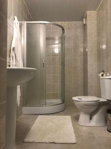 阿克套Жеруйык Отель的带淋浴、卫生间和盥洗盆的浴室