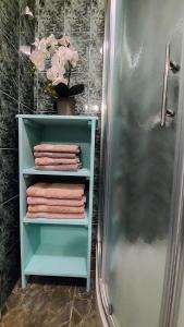 布莱德拉维尼可客房酒店的一间带毛巾架和淋浴的浴室