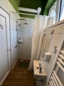 贝尔格莱德Cabbage Hostel的一间带水槽和淋浴的浴室