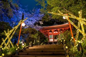 东京东京樱花塔王子大酒店的公园里一座有圣诞灯的寺庙