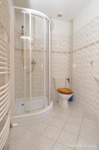 卡尔洛瓦斯图丹卡Penzion u Vodopádu的带淋浴和卫生间的浴室。