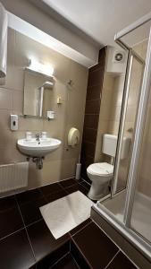 兹拉蒂博尔Club Satelit Zlatibor的一间带卫生间和水槽的浴室