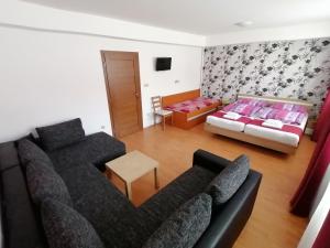 米库洛夫Ubytování Na Špacíru的客厅配有沙发和1张床