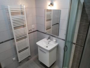 米库洛夫Ubytování Na Špacíru的一间带水槽和镜子的浴室