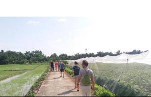 芹苴Enjoy Mekong Hostel的一群人走在田野的小路上