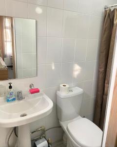 乔尔蓬阿塔Zaton Guesthouse的白色的浴室设有卫生间和水槽。