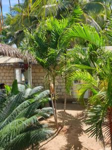马哈赞加Akwaba Chez les Filles的一群棕榈树在房子前面