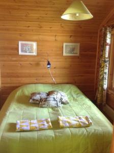 ToivakkaPäivänsäde Cottage的两个动物躺在房间里的床上
