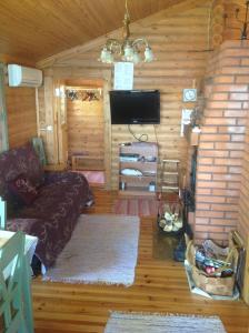 ToivakkaPäivänsäde Cottage的带沙发和平面电视的客厅