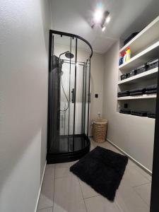 诺托登Notodden Sentrum Apartment NO 11的一间设有黑色地毯淋浴的浴室