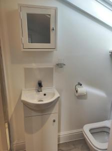 圣奥斯特尔Pleasant streams Barn的白色的浴室设有水槽和卫生间。