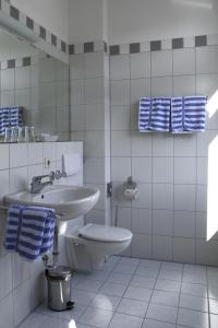 奥贝里德Gasthaus Sternen Post的白色的浴室设有卫生间和水槽。