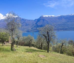 利莫内-苏尔加达Appartamenti Helios的享有树木和山脉的湖泊美景