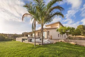 马略卡岛帕尔马Villa bonita con vistas espectaculares, perfecto para familias的房屋前的棕榈树