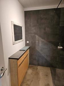 霍尔斯沃德吕尔Apartment for 4 guests的一间位于客房内的带柜台和淋浴的浴室