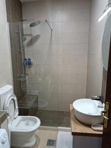 科托尔Guesthouse BiT Accommodation的带淋浴、卫生间和盥洗盆的浴室