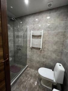 巴库里阿尼Villa Deluxe Premium Apartment 308的一间带卫生间和淋浴的浴室