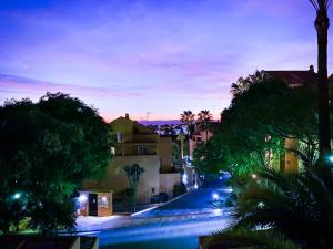 马贝拉Marbella Elviria apartment的棕榈树和建筑的城市街道