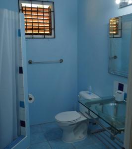 CharlotteSeascape Villa 2BR with Stunning Caribbean Sea View的一间带卫生间和玻璃水槽的浴室