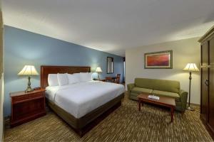 鸽子谷河滨酒店的酒店客房,设有一张床铺和一张绿色沙发