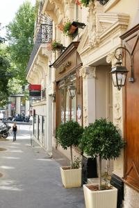 巴黎梅斯雷共和酒店的街上两棵盆栽树的建筑