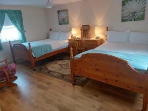 CarrickmoreDrumaneir Cottage的一间卧室设有两张单人床和一面镜子