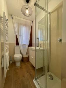 基奥贾Casa Vacanze Giorgetta Palazzina privata di due piani的一间带卫生间和玻璃淋浴间的浴室
