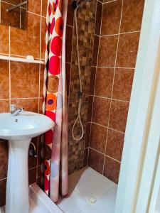威廉斯塔德Nouvelle Orange Willemstad的一间带水槽和淋浴的浴室