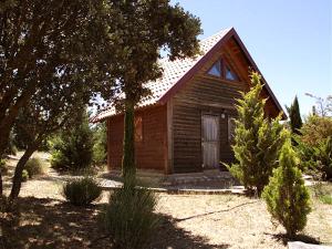 Cañada del HoyoEl Muerdago de Cañada的一座小木房子,位于一个树木繁茂的院子内